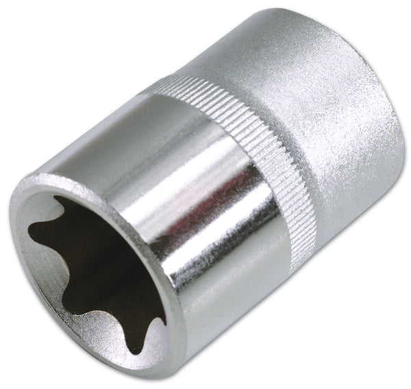 Star Socket 1/2"D E24 1543